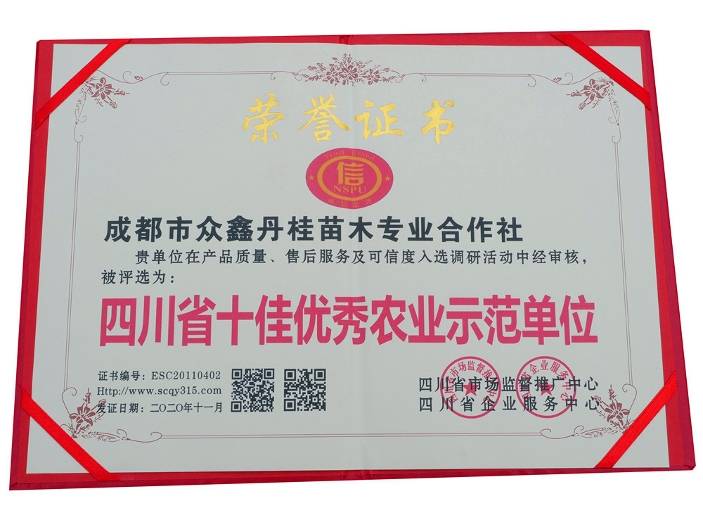P1555800.jpg