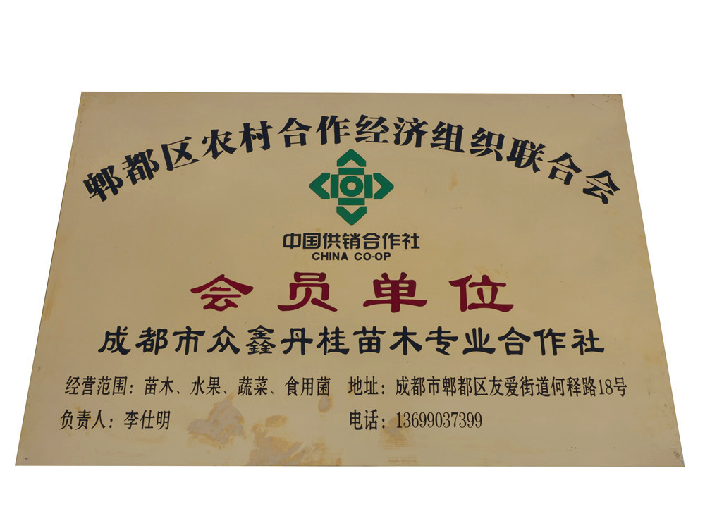 P1555793.jpg