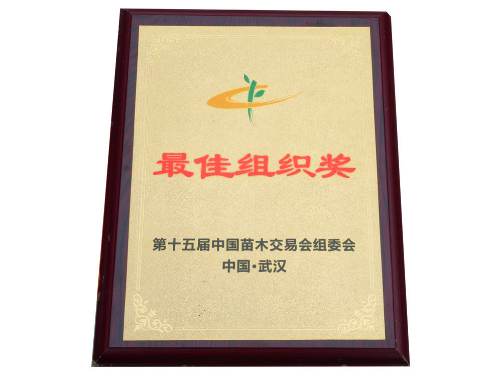 P1555789.jpg