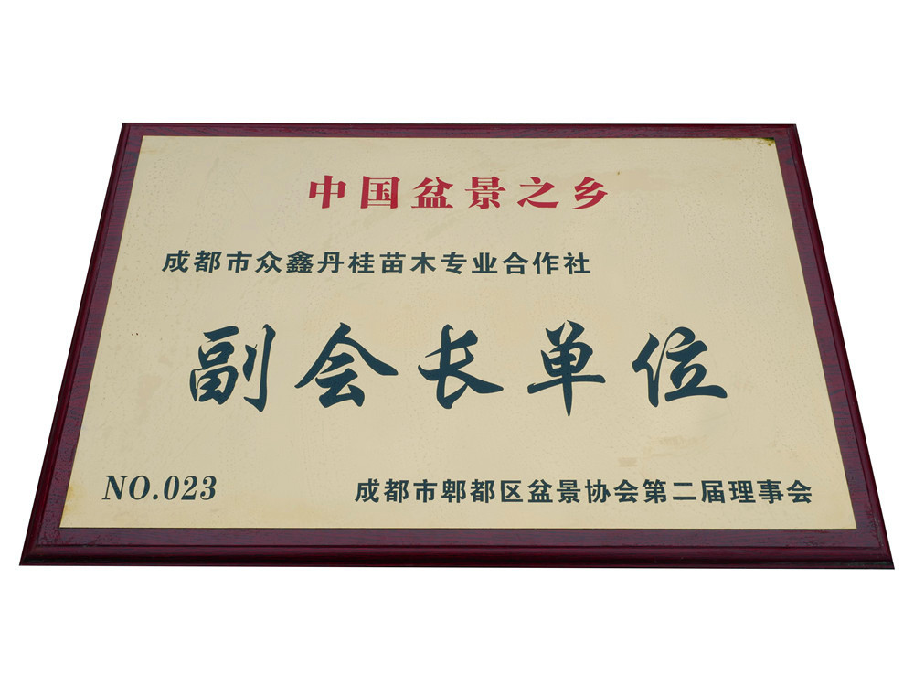 P1555787.jpg