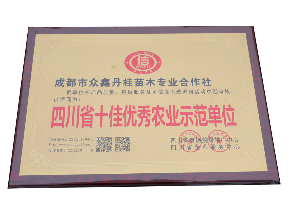 P1555786.jpg