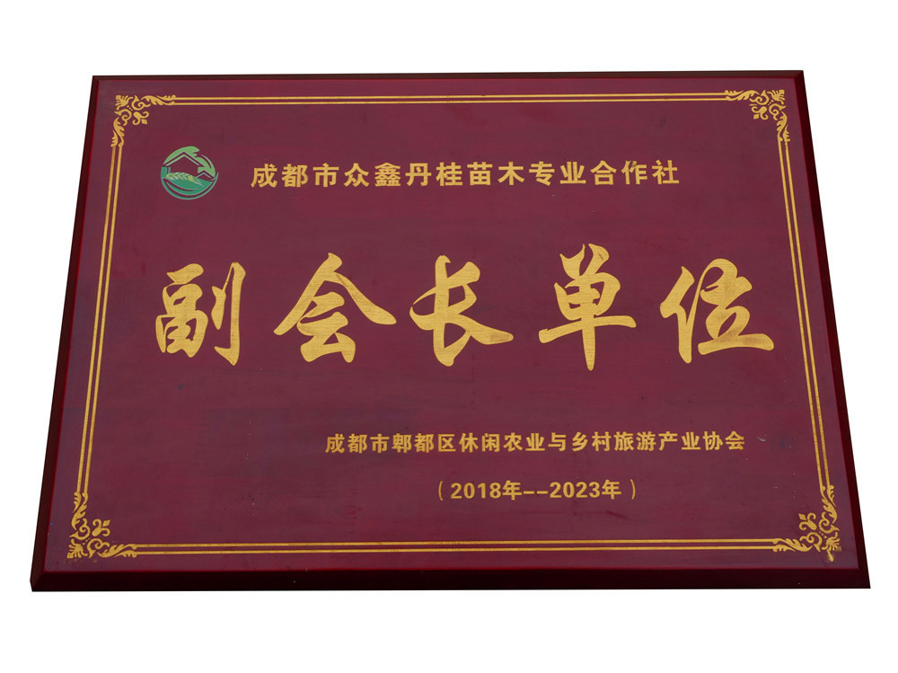 P1555785.jpg