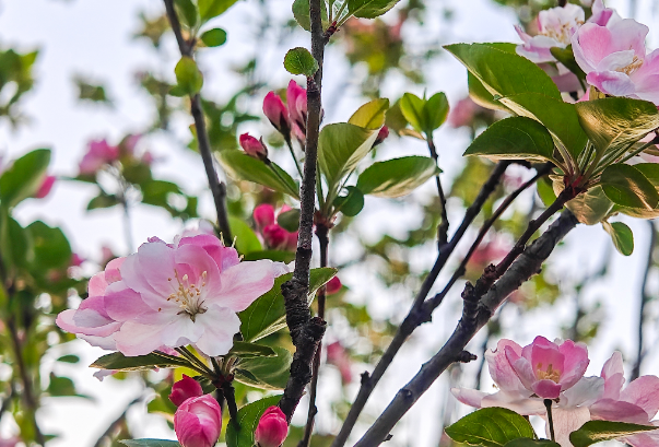 QQ20250610-115615.jpg